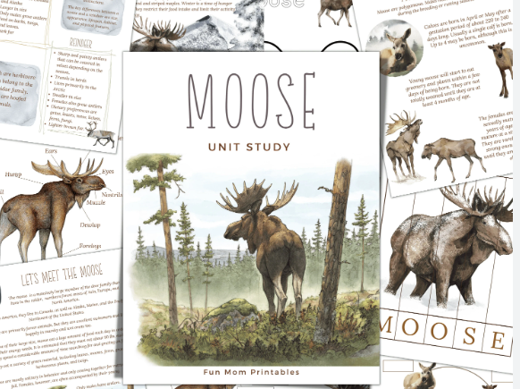 The Anatomy of a Moose Print
