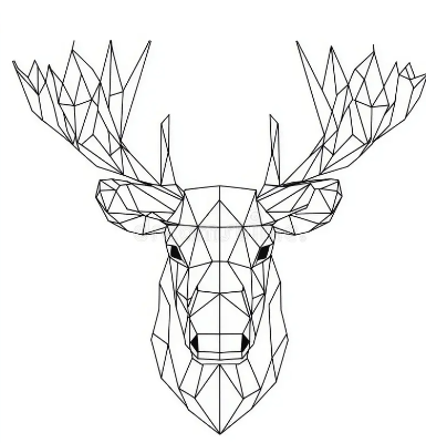The Appeal of Line Art in Modern Design