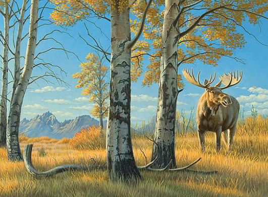 The Appeal of Moose Art