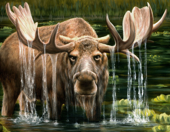 The Artistic Appeal of Moose Paintings