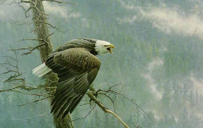 The Artistic Vision of Robert Bateman