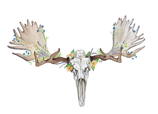 The Craft of Moose Skull Art