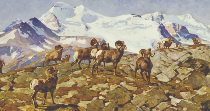 The Importance of Wildlife Art