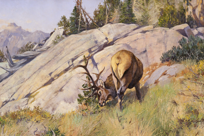 The Importance of Wildlife Art2