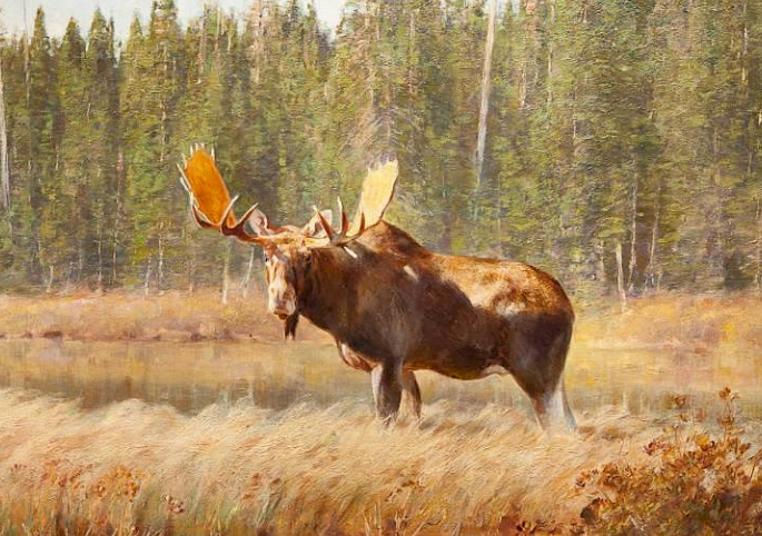 The Role of Moose Art in Contemporary Society