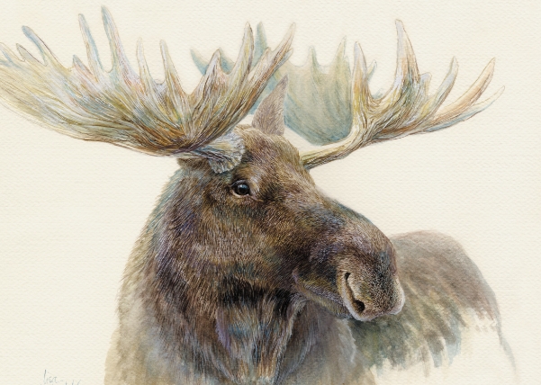 The Significance of Moose in Art