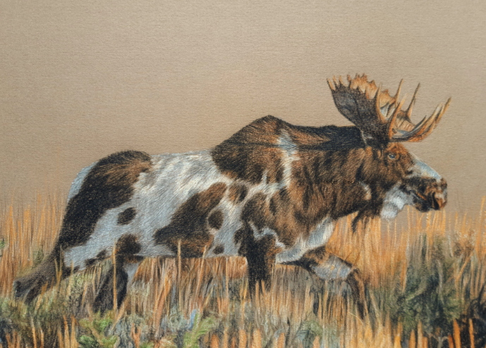 The Significance of Moose in Art