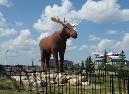 The Symbolism of the Moose