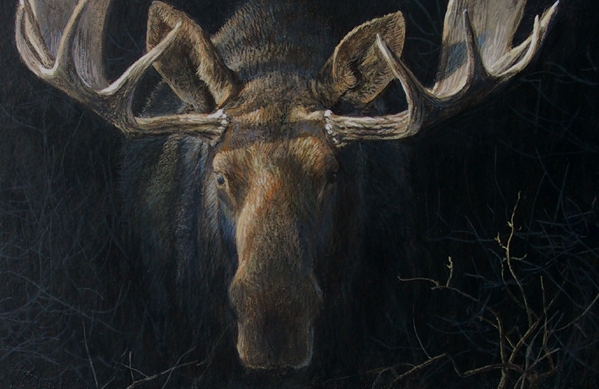 The Themes Behind Bateman's Moose Art