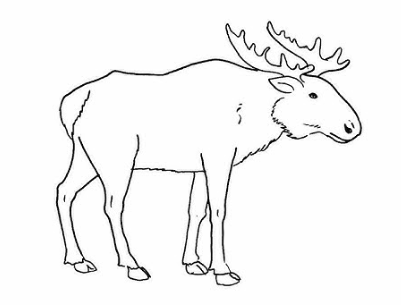 Tips for Creating Your Own Line Art Moose2