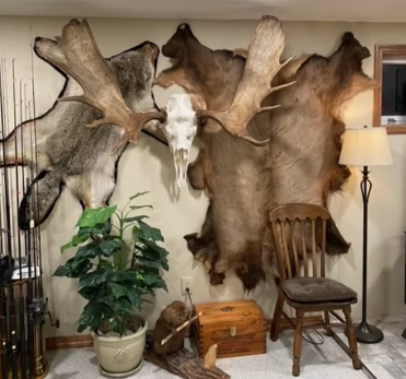  Tips for Incorporating Moose Decor into Your Home