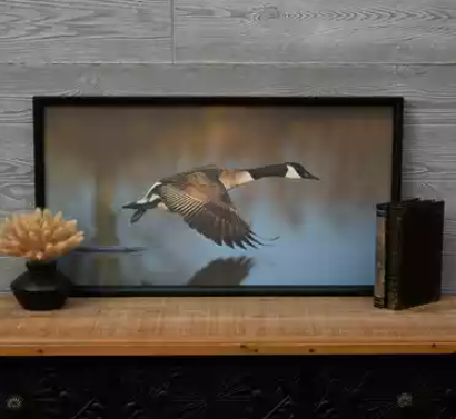 Unleashing Creativity with Hobby Lobby