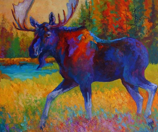 Where to Find Art Moose