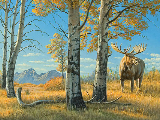 Where to Find Art Moose2