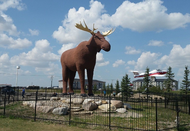 Where to Find Iconic Steel Moose Sculptures