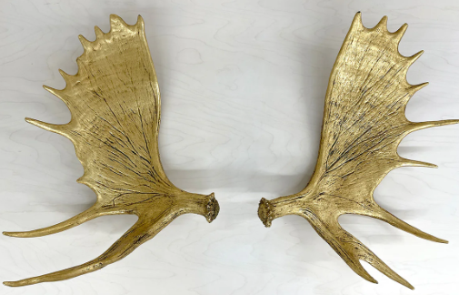 Where to Find and Support Moose Paddle Art