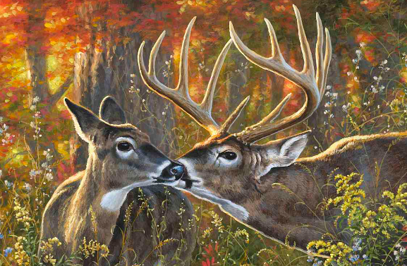 Why This Canvas Appeals to Deer Lovers