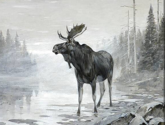 black and white moose canvas