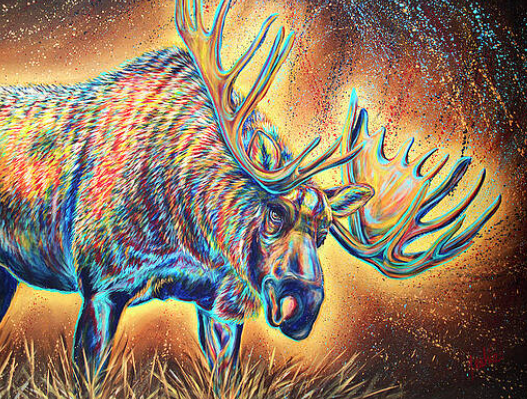 colorful moose art