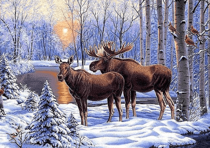 diamond painting moose2
