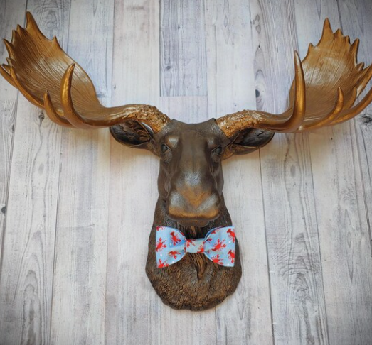 faux taxidermy moose head