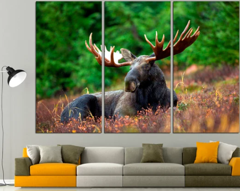 large moose wall art