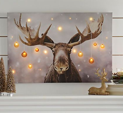 led moose canvas