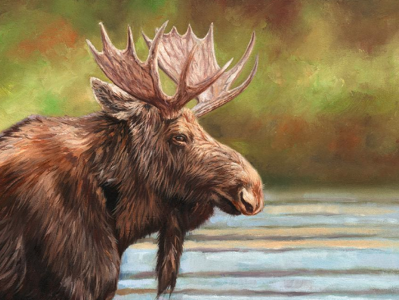 moose art work