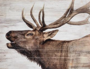 moose canvas hobby lobby1