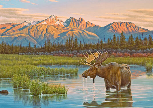 moose framed art