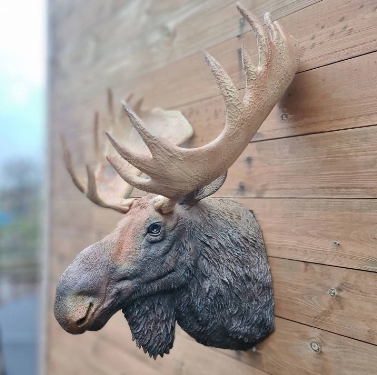 moose head art