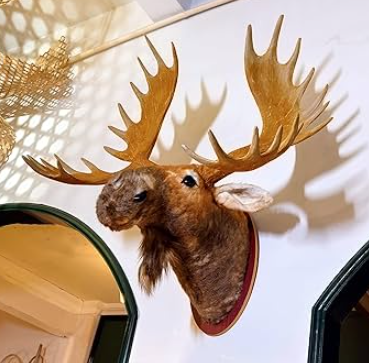 moose head wall decor