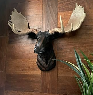moose head wall hanging
