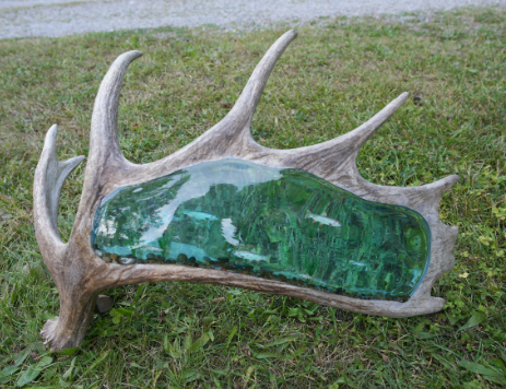 moose horn art