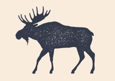 moose illustrations