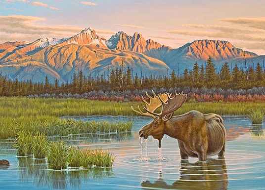 moose mural