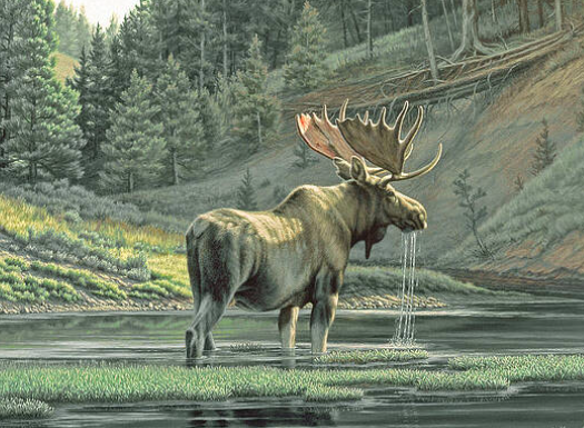 moose painting on canvas