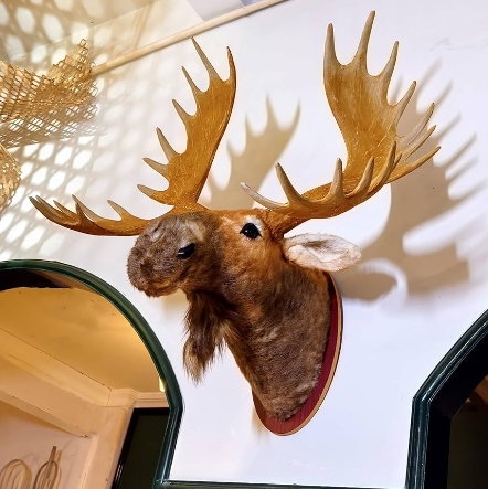 moose wall hanging