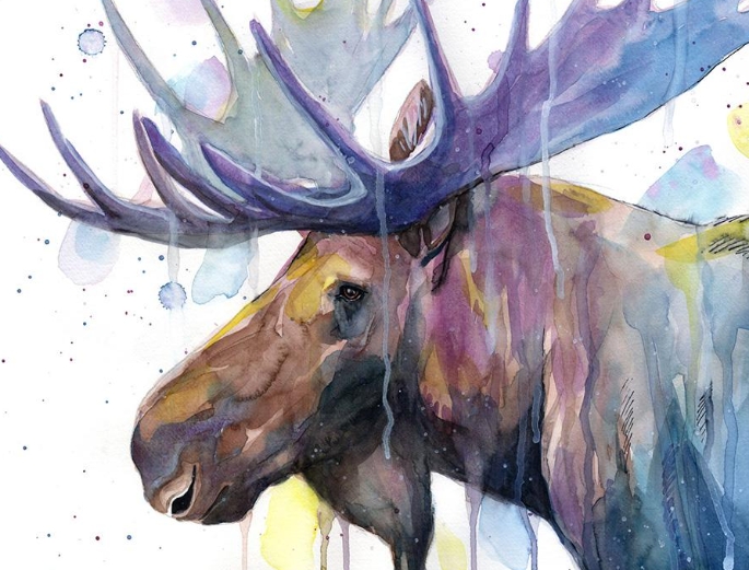 moose watercolor