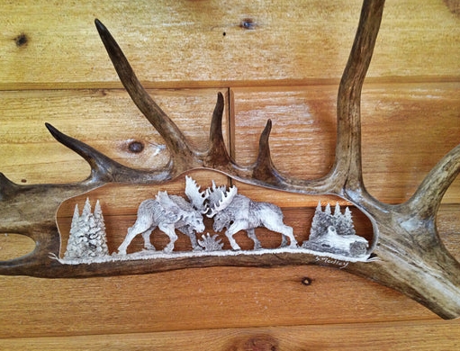 moose