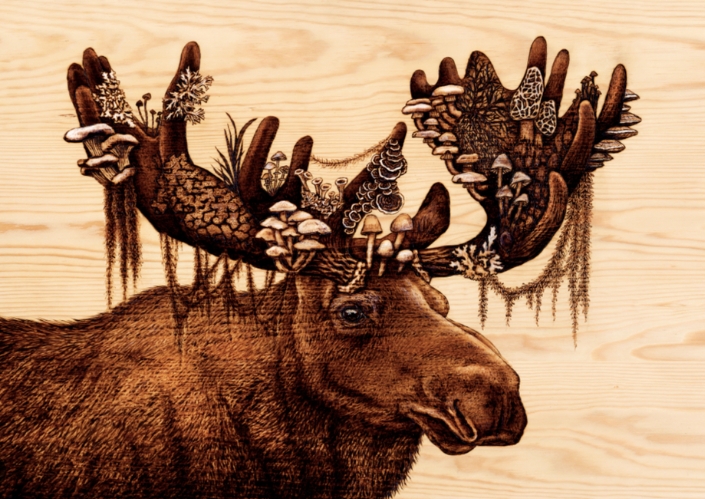 moose artwork