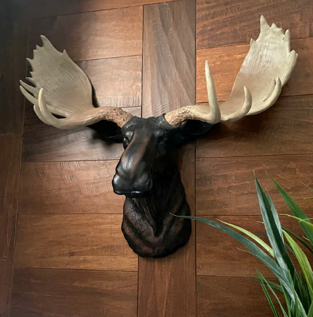 resin moose head1