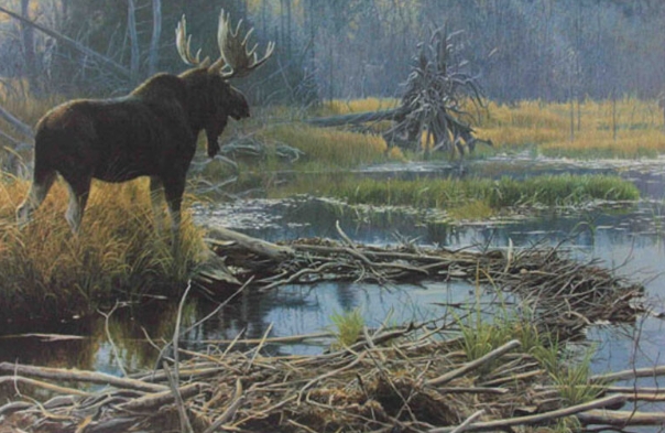 robert bateman moose painting