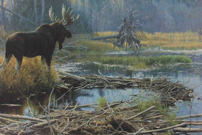 robert bateman moose print