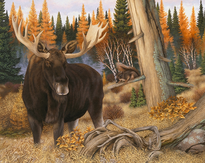stephen lyman moose print2