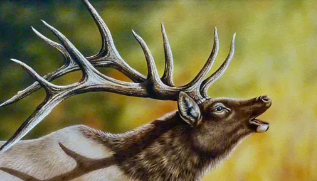 A Cultural Connection