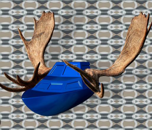 A Unique Teaching Tool