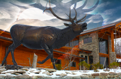 Art as a Catalyst for Conservation Awareness