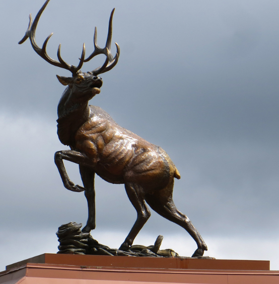 Bronze Elk Sculpture Overview