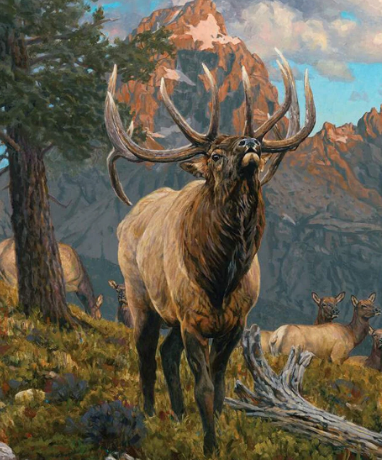 Capturing Nature's Majesty